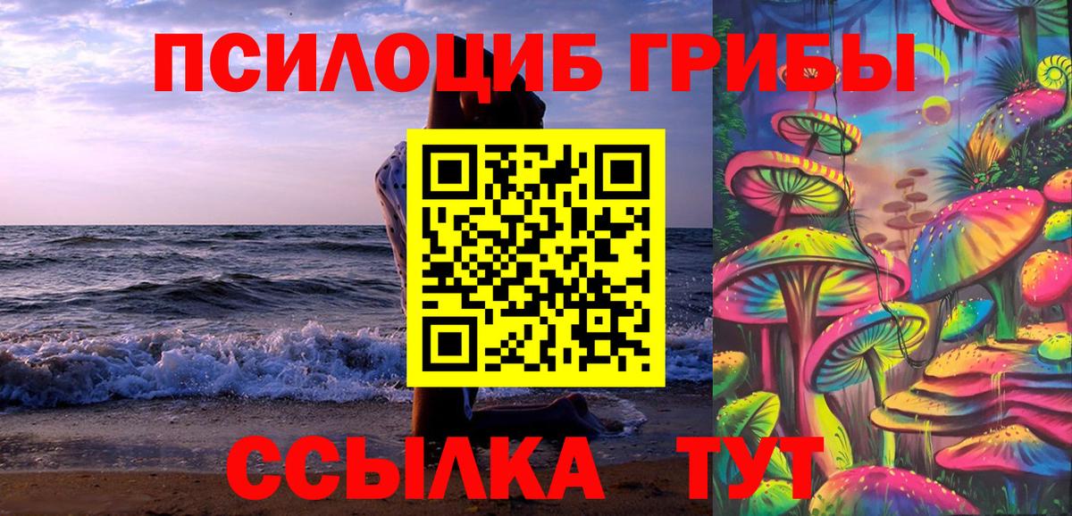 Галлюциногенные грибы Psilocybe  купить  сайты  Вход с VPN  Донецк  Галлюциногенные грибы мухоморы 